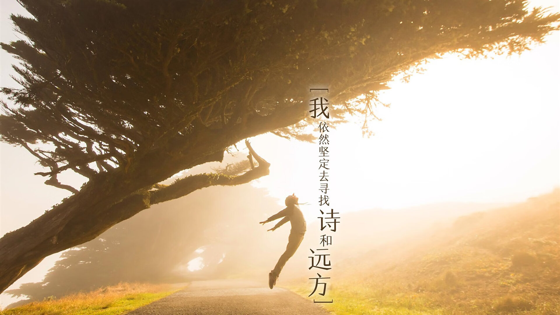 篮球赛事组织中的安全管理策略,篮球比赛安全策划方案