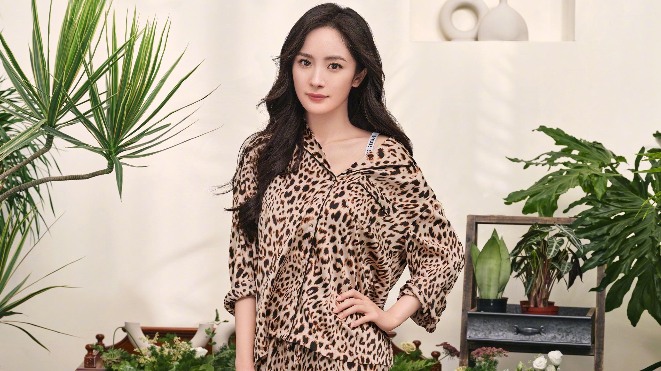 英超传统豪门新援适应联赛节奏成效分析,英超豪门俱乐部