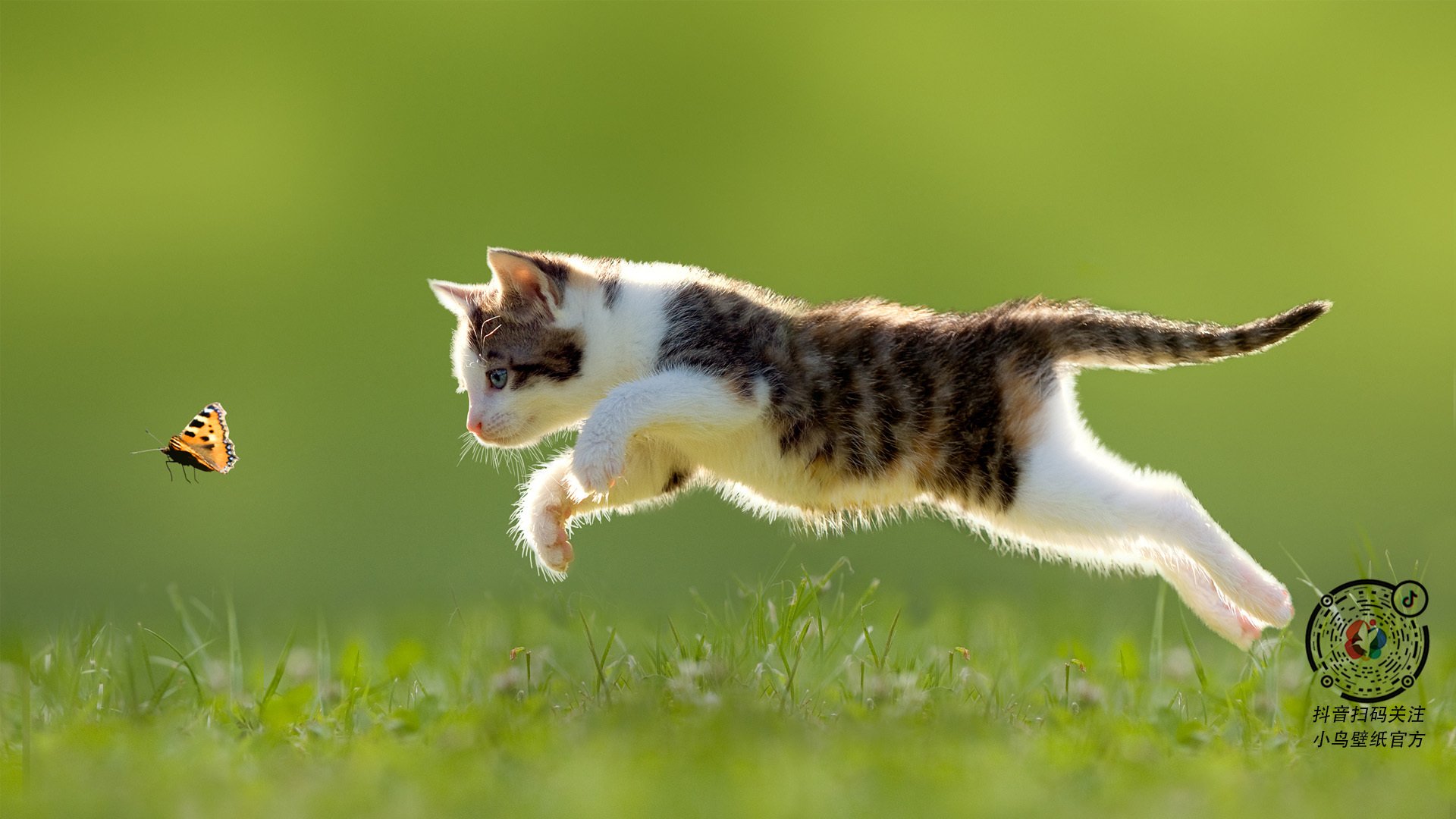 青少年体育训练体系完善,青少年体能训练体系