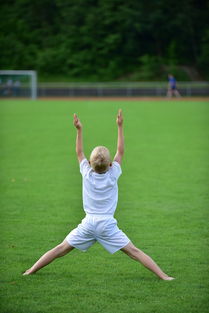 mk体育网址-高校运动训练计划动态调整机制研究，运动训练调控