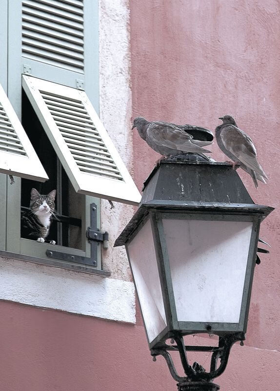 中国三人篮球男队战术多变应对强敌,中国三人篮球男篮赛程