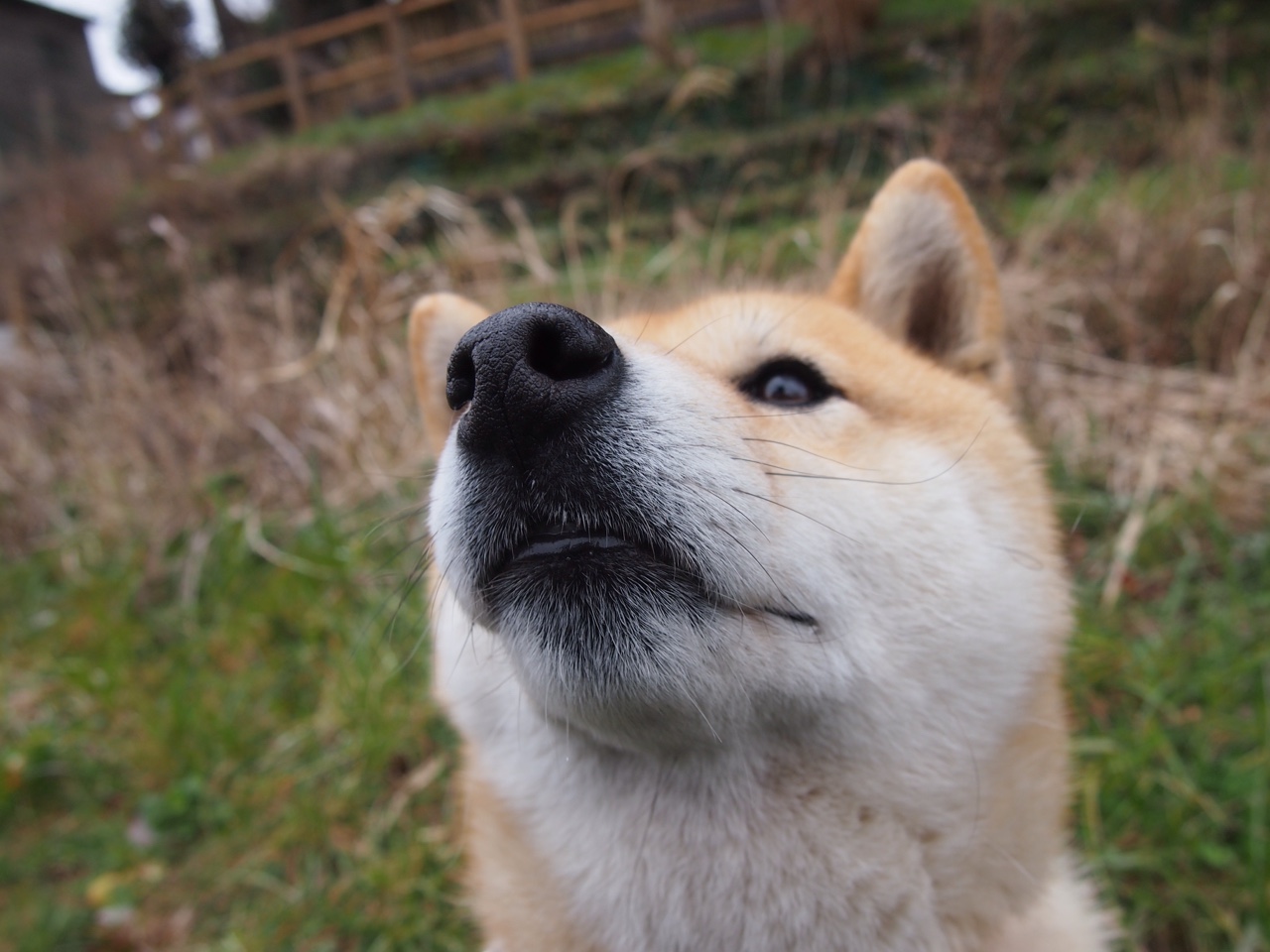 中国男篮防守强度亟需恢复曾经硬度,中国男篮防守悍将