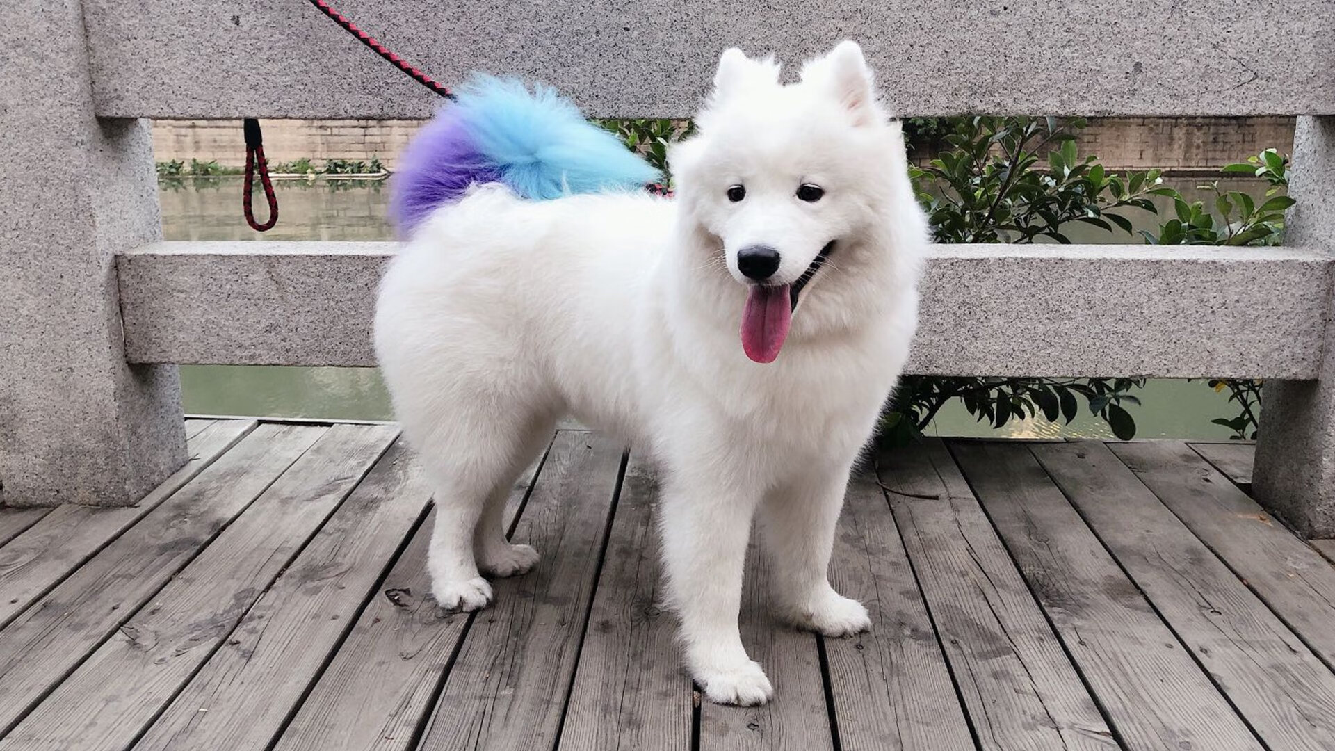 五大联赛五换人制度是否真正改善体能问题,五大联赛换人规则