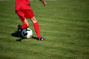 mk体育现在-体育新闻中心发布体育短视频内容运营新策略，体育短视频存在的问题