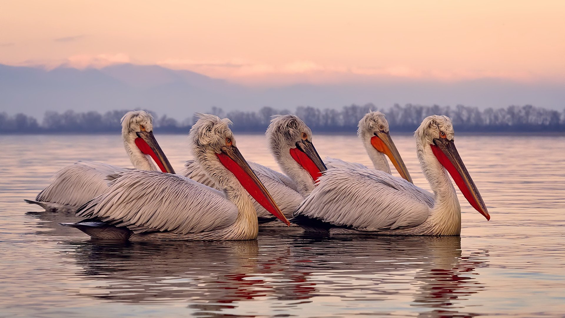 mk体育-基层赛事曝光率低影响社会关注度，基层赛事曝光率低影响社会关注度吗