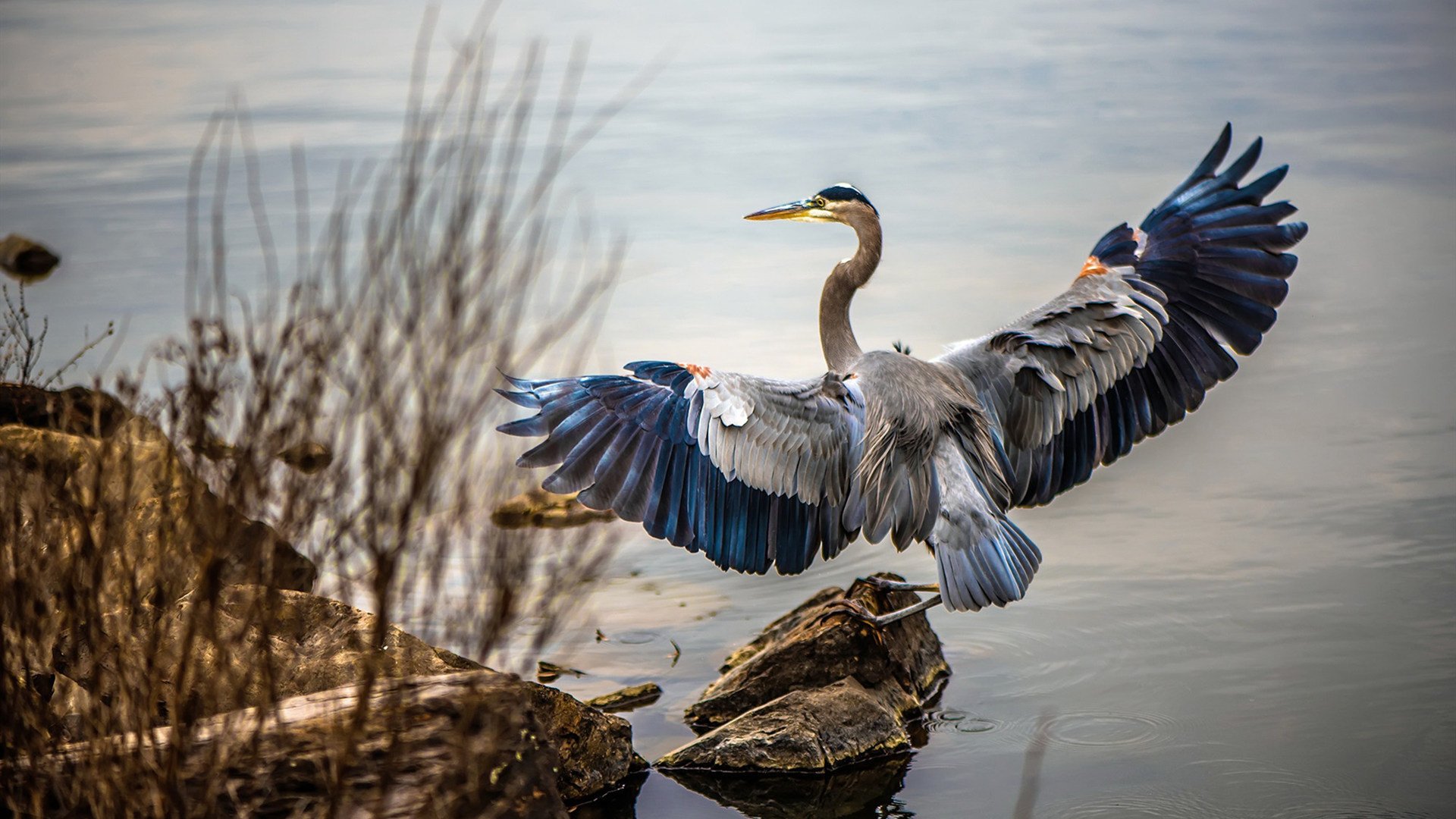 mk体育全站-布莱顿快速轮转提升比赛节奏感，布莱顿阵型