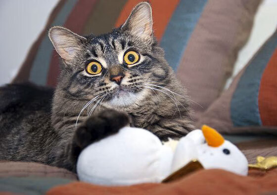 mk体育现在-男泳健儿多点开花，高中公共澡堂有隔间么