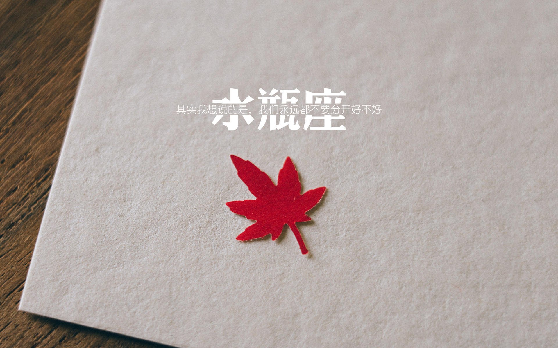 高校冰球联赛开幕新赛季看点十足,大学生冰球锦标赛冠军