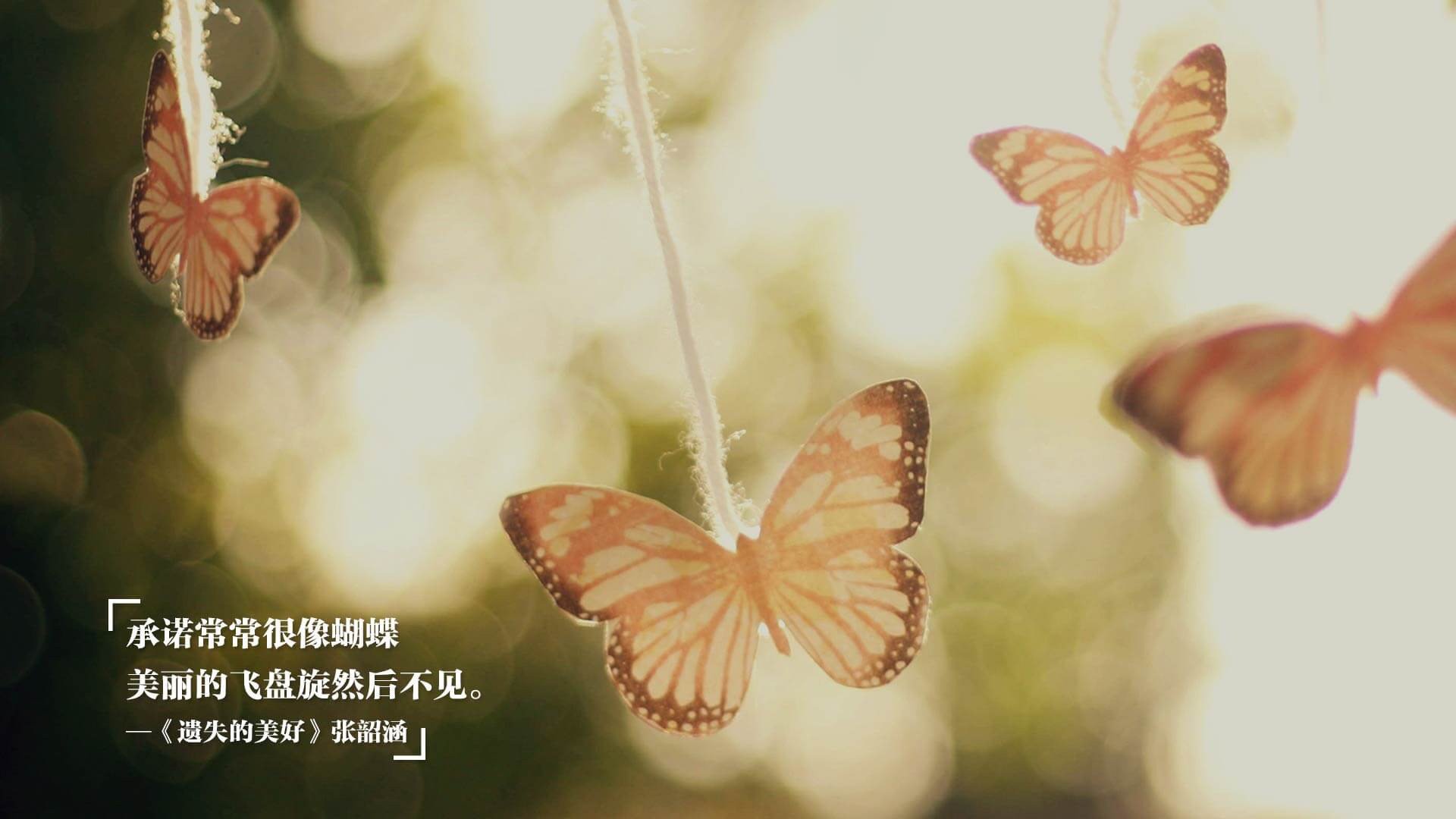 “马科斯·梅特罗的进攻火力和防守稳健,成就美洲狮队的全能之星”