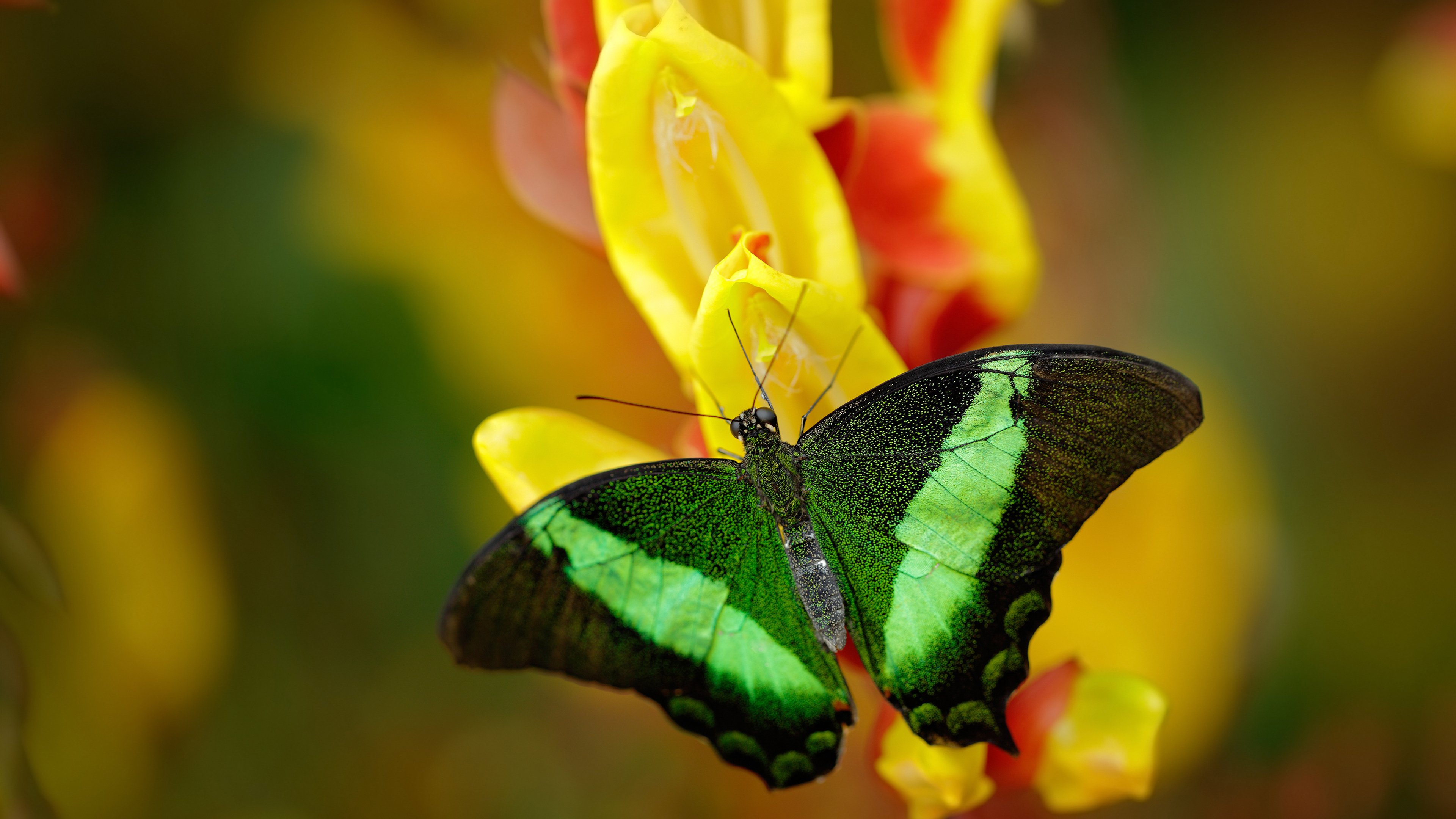 中国足球国家队训练营引入高科技训练设备,中国足球国家队训练营引入高科技训练设备了吗