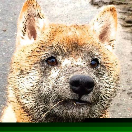 体育总局新闻中心发布最新反兴奋剂规定,反兴奋剂政策