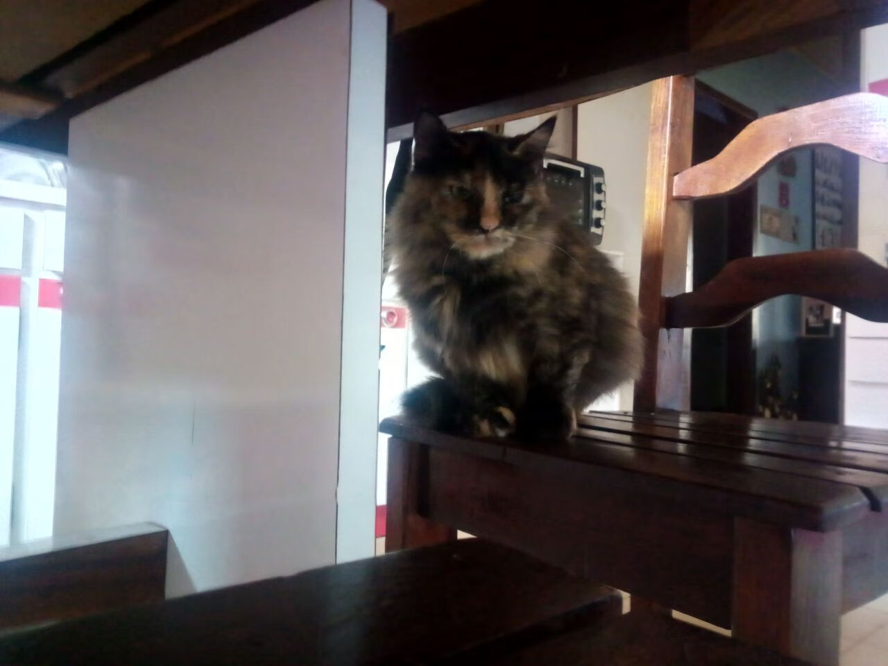 尤文图斯依靠坚韧不拔的防守战胜对手