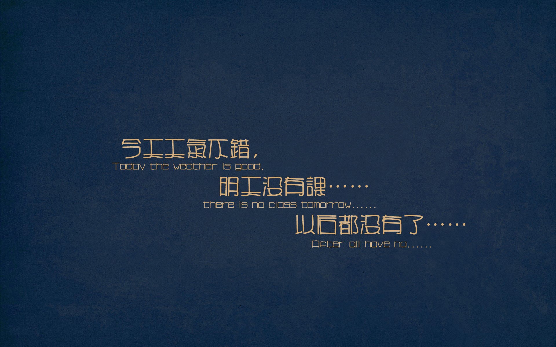 弗朗索瓦·霍尔茨豪伊泽:背后指挥的能手,关键时刻助南非队稳操胜券